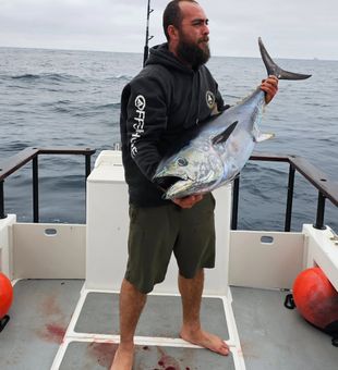 Just in time for Tuna at Long Beach CA.