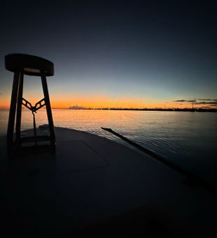 Early mornings are the best! 