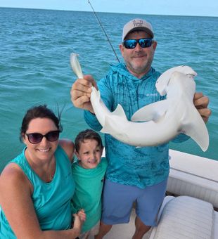 Beautiful bonnethead shark caught in Key West waters!