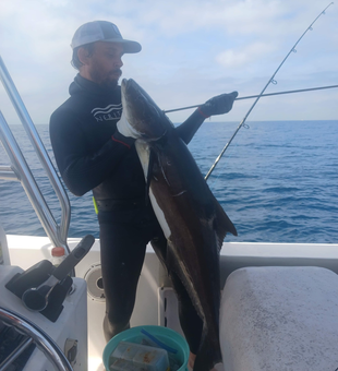 Cobia fishing paradise found in Fort Pierce! 