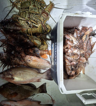 Big catches, bigger memories in Fort Pierce!