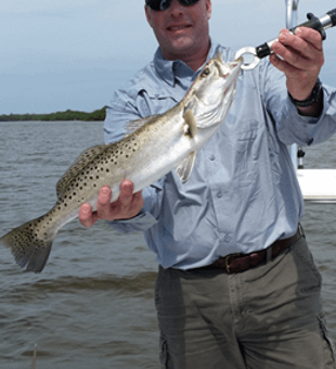 Nice SeaTrout From Cape Coral, Fl