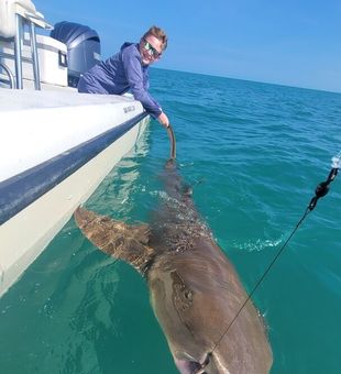 Fresh ocean breeze and fishing in Key West.