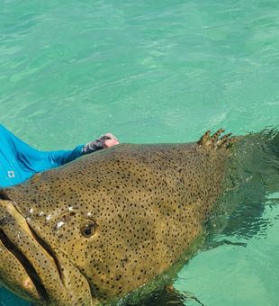 Another day well spent on the waters of Key West.
