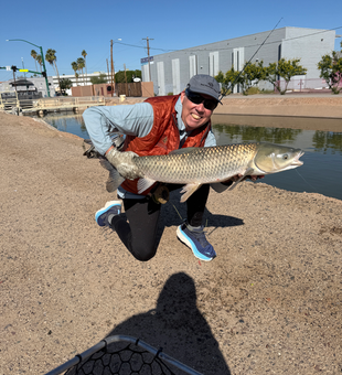 Arizona grass carp brought to the dock!