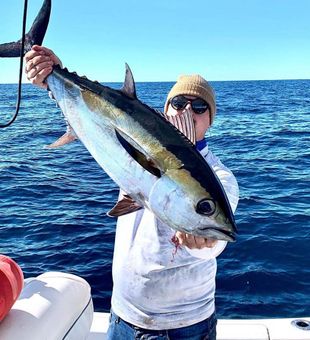 Hooked on tuna fishing in Destin, FL