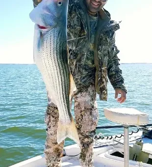 Nice striped bass from Kingston OK waters!
