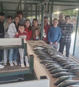 Outstanding striped bass haul from Kingston OK waters!