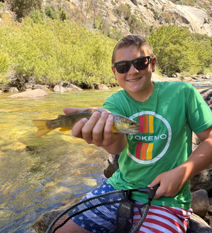 Beautiful Kings River brown trout on the fly!