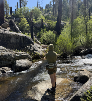 Fly fishing the pristine waters of Kings River.