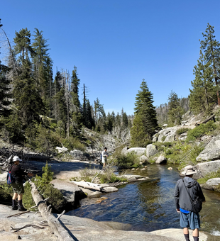 Fly fishing the pristine waters of Kings River!