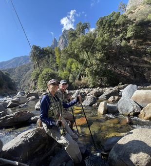 Perfect fly fishing conditions on this mountain stream today!