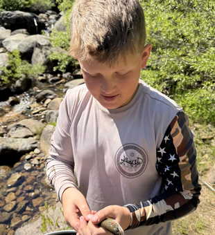 Fresh catch from Kings River fly fishing adventure!
