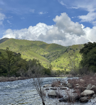A peaceful day by the river.