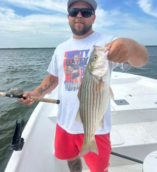 Nice striped bass from Quinlan TX waters!