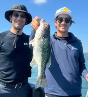 Branson adventures with a catch of the day