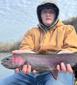 Vibrant rainbow trout catch on the river!