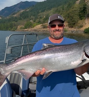 Big Chinook salmon