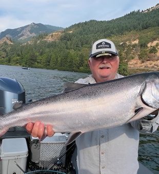 Strong Chinook salmon