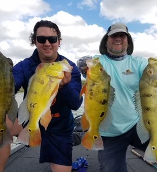 Bass fishing on the everglades, they're BIG