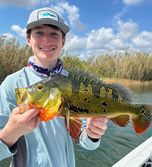 Everglades fun fishing charters