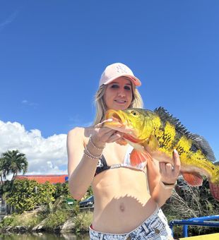 Explore the backwaters of the Everglades on an unforgettable fishing trip from Palmetto Bay.