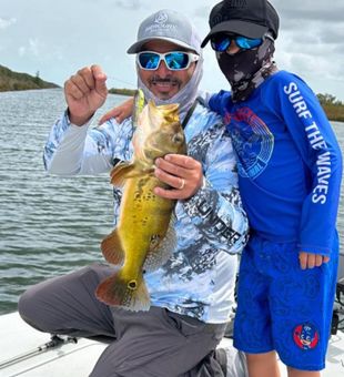 Palmetto Bay peacock bass bringing the action!