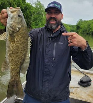 Gasconade River Guide