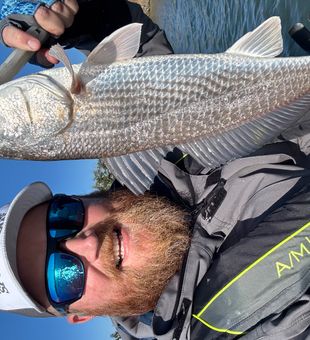 Inshore Action