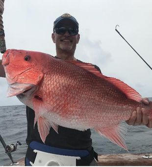 Massive Red Snapper Fish from Destin