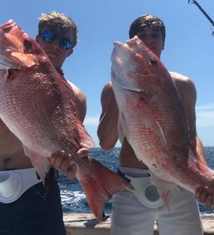 Red Snapper Fish from Destin, Florida