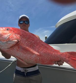 Bottom fishing for Red Snapper in Florida