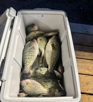 Another successful morning out on Toledo Bend waters.