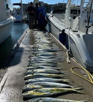 San Diego's Best Fishing Charters