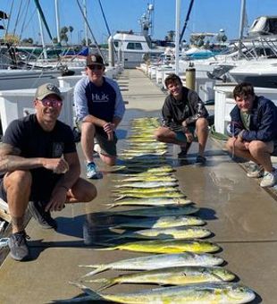 Ultimate Offshore Fishing Charter, mahi-mahi etc