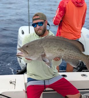 Tampa gag grouper bringing the excitement offshore!