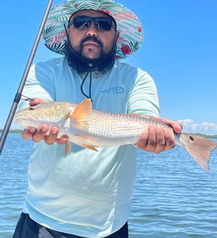 Beautiful Redfish caught in Holiday, FL