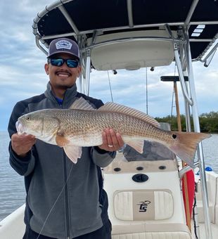 Inshore fishing for Redfish, caught our limits!