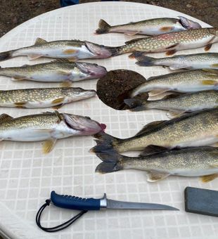 Another Walleye fishing on Wisconsin waters!