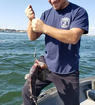 Beautiful For Fishing In Pleasant Point NJ