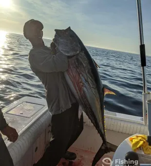 Solid Fish Adventure With Fish N Party Charters
