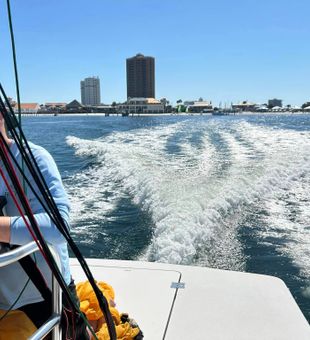 Sail to fish and fish to sail