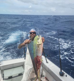 Beautiful mahi mahi from Key Largo waters!