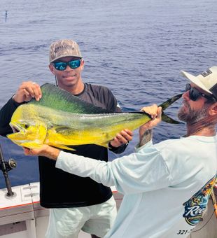 Beautiful Key Largo mahi mahi ready for the table!