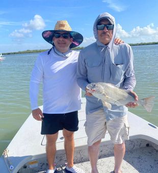 Redfish run on the Texas coast