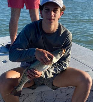 Awesome Speckled Trout catch! 