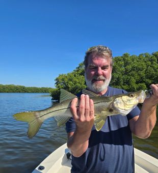 Chase trophy Redfish and Snook on unforgettable inshore fishing charters in Tampa and St. Petersburg, Florida.