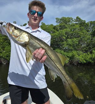 Tampa snook strike success