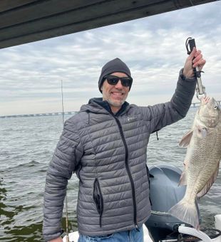 Huge, proud Black Drum catch!