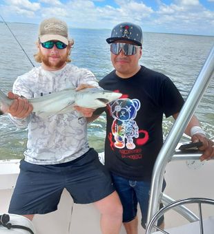 Shark season in Georgia is heating up! 